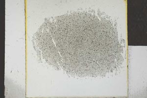 Plane Polarized, S24496