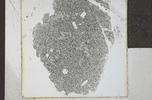 Plane Polarized, S24498