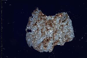 Cross Polarized, S24514