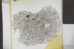 Plane Polarized, S24523