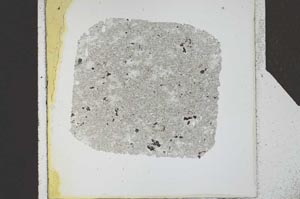 Plane Polarized, S24530