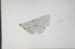 Plane Polarized, S24531