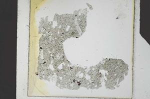 Plane Polarized, S24532