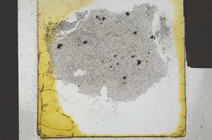 Plane Polarized, S24542