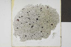 Plane Polarized, S24546