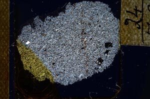 Cross Polarized, S24547