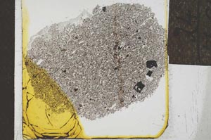 Plane Polarized, S24547