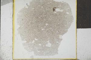 Plane Polarized, S24549