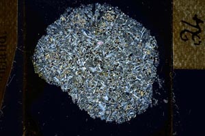 Cross Polarized, S24550