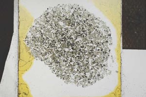 Plane Polarized, S24550