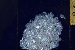 Cross Polarized, S24551