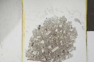 Plane Polarized, S24551