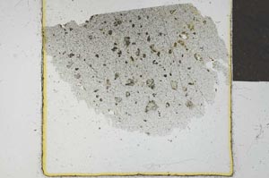 Plane Polarized, S24555
