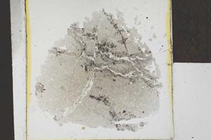 Plane Polarized, S24556