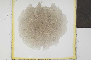Plane Polarized, S24558