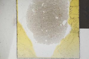 Plane Polarized, S24563