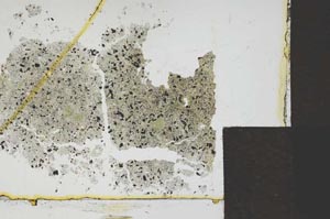 Plane Polarized, S24566