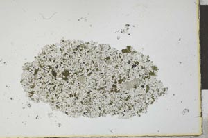 Plane Polarized, S24571