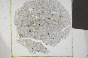 Plane Polarized, S24572