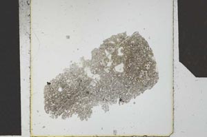 Plane Polarized, S24576