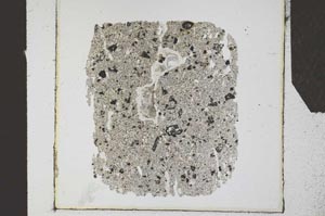 Plane Polarized, S24577
