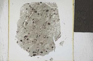 Plane Polarized, S24578