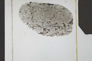 Plane Polarized, S24580