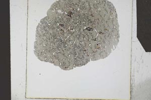 Plane Polarized, S24581