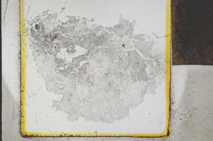 Plane Polarized, S24582/A