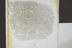 Plane Polarized, S24588