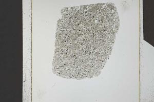 Plane Polarized, S24591