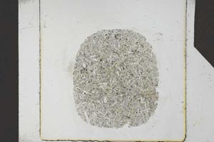 Plane Polarized, S24592