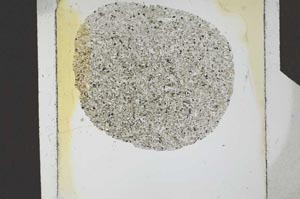 Plane Polarized, S24594