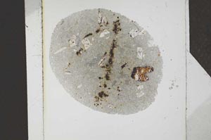 Plane Polarized, S24609