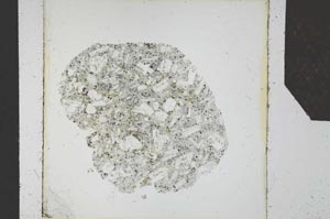 Plane Polarized, S24617
