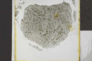 Plane Polarized, S24665