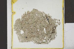 Plane Polarized, S24669