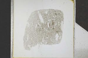 Plane Polarized, S24672