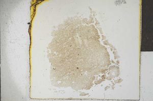 Plane Polarized, S24673