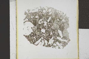 Plane Polarized, S24678