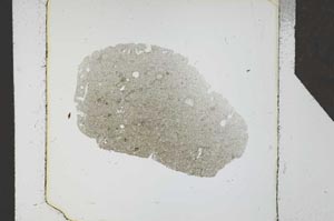 Plane Polarized, S24682
