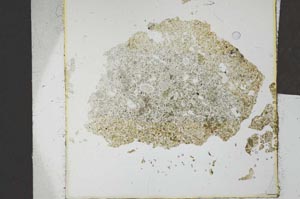 Plane Polarized, S24684