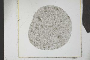 Plane Polarized, S24686