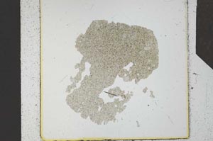 Plane Polarized, S24688