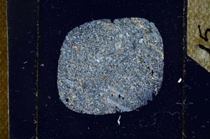 Cross Polarized, S24689