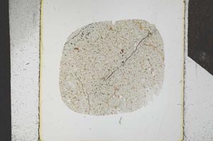 Plane Polarized, S24689