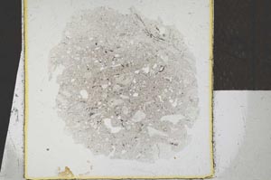 Plane Polarized, S24691