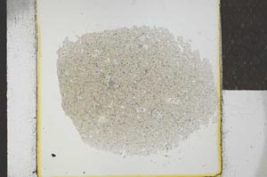 Plane Polarized, S24695