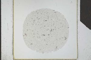 Plane Polarized, S24696