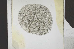 Plane Polarized, S24702